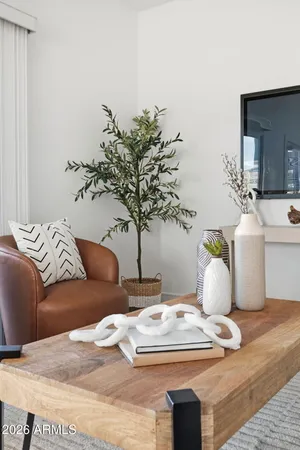 a living room with furniture flowerpot and a rug