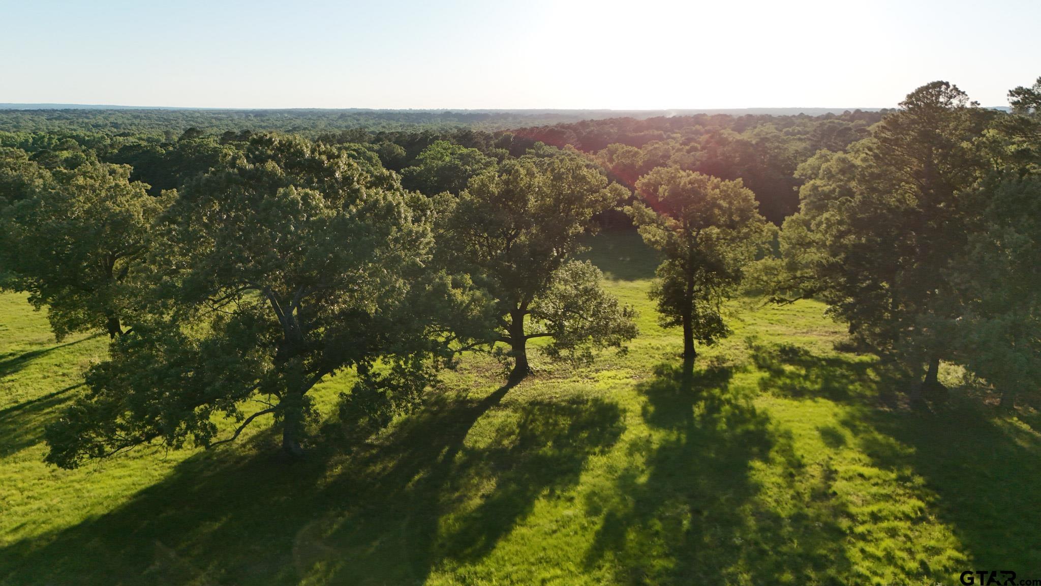 0 County Road 2680 Hawkins, TX 75765 - Photo 4 of 38