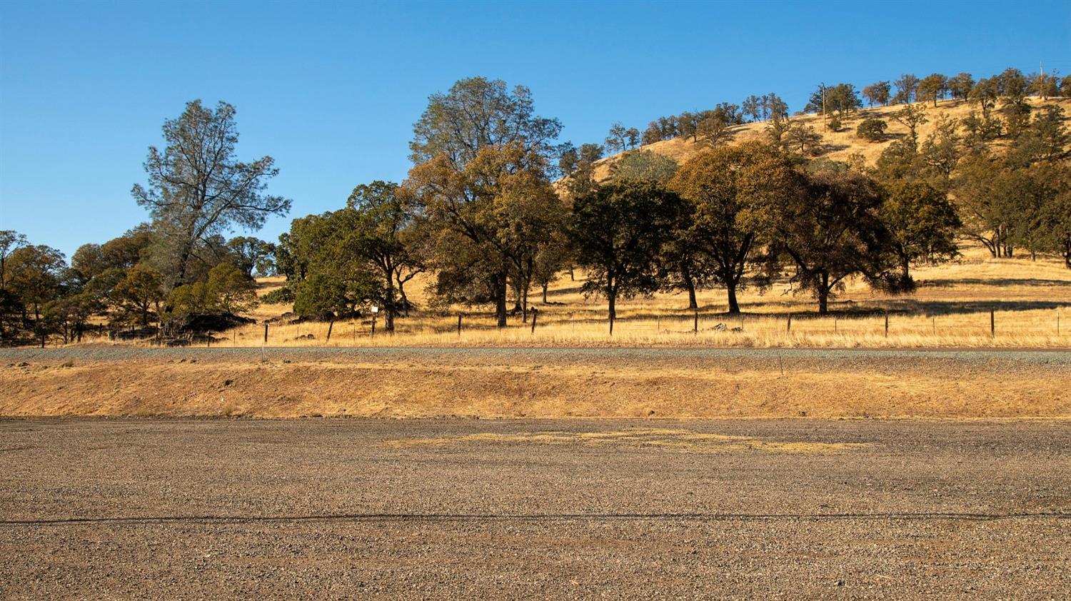 470 Highway 12 Valley Springs, CA 95252 - Photo 4 of 18 a view of road with large trees
