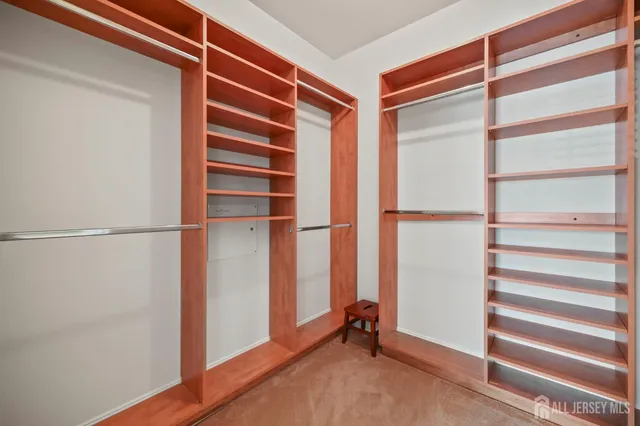 a view of walk in closet with empty racks