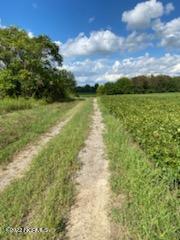 6 Rooker Dairy Road Norlina, NC 27563 - Photo 6 of 7 28317