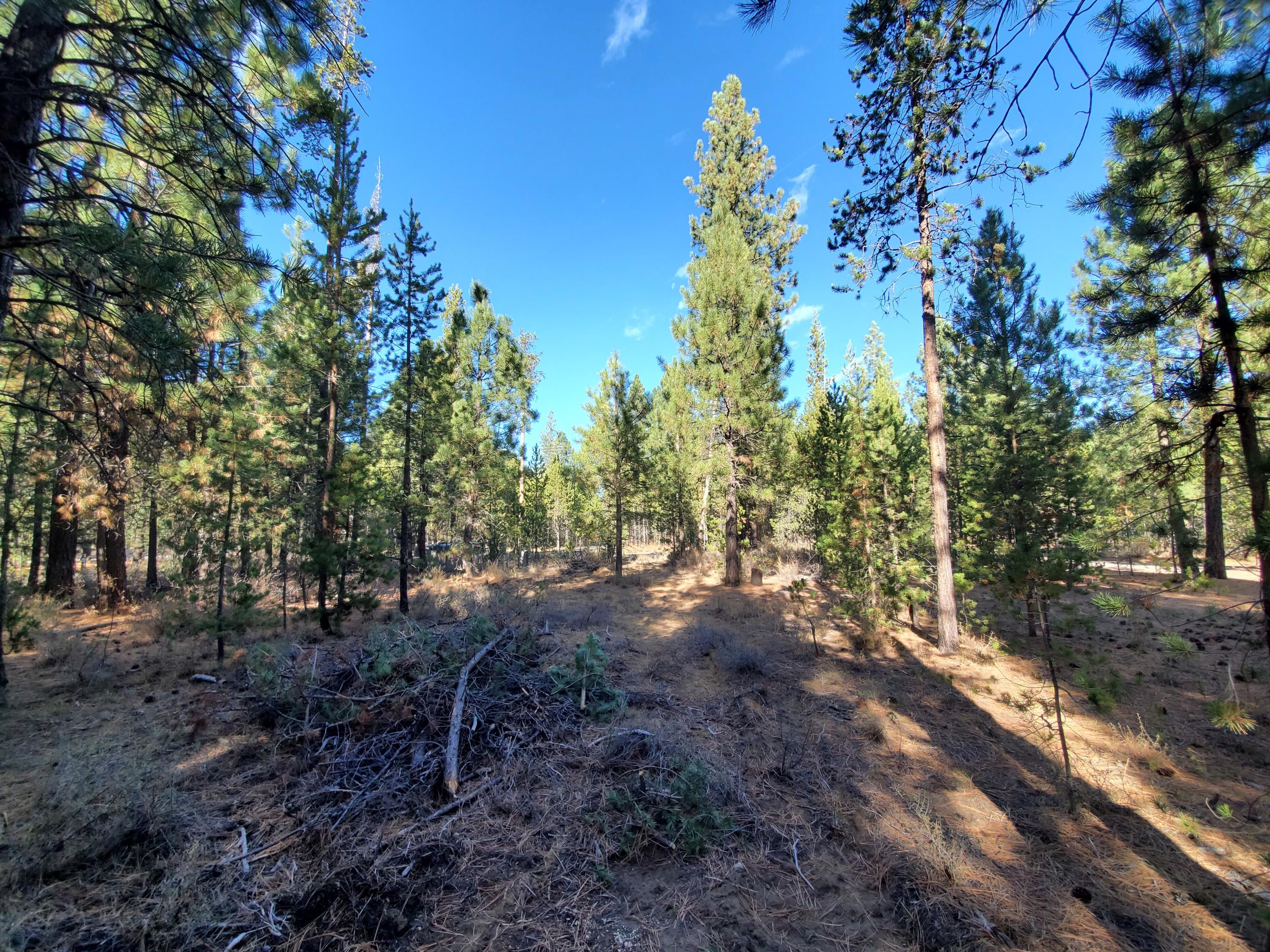 16907 Covina Road Bend, OR 97707 - Photo 10 of 11 Bring your imagination...