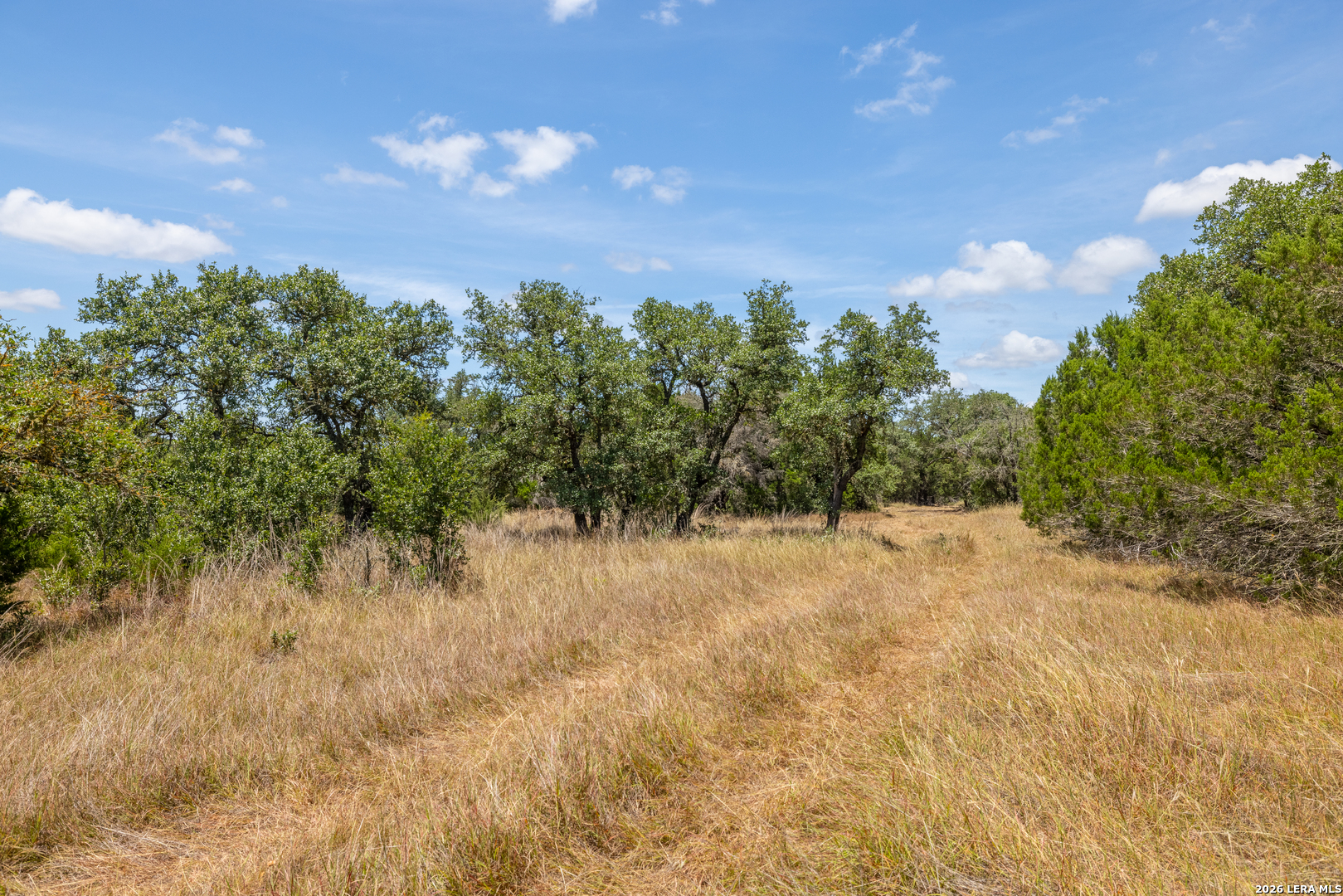 0 Cherry Creek Road Hunt, TX 78024 - Photo 10 of 16