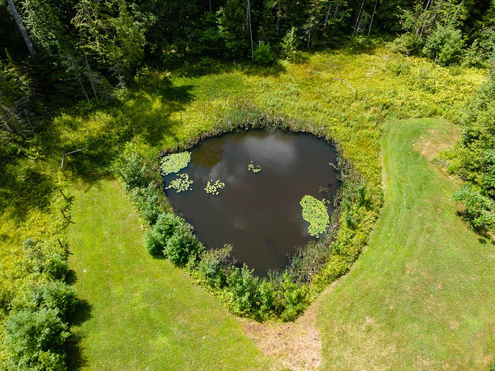 84 Shady Nook Road Newfield, ME 04095 - Photo 36 of 42 84 Shady Nook Road
