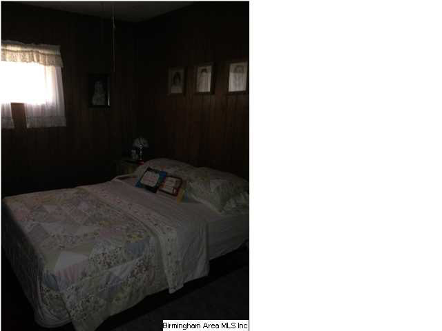 1200 Warrior Jasper Road Warrior, AL 35180 - Photo 7 of 18