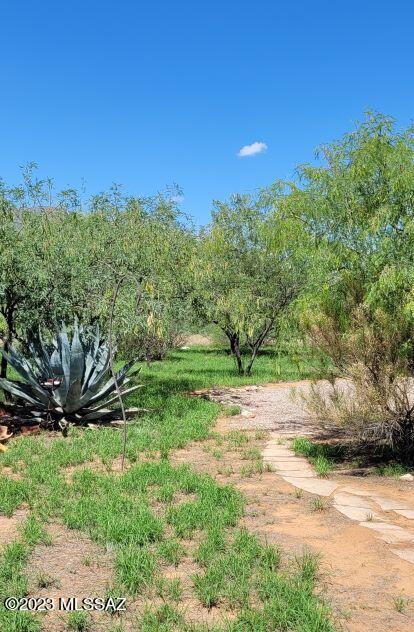 1076 West Redhead Road Cochise, AZ 85606 - Photo 18 of 50 Gallery Image 18