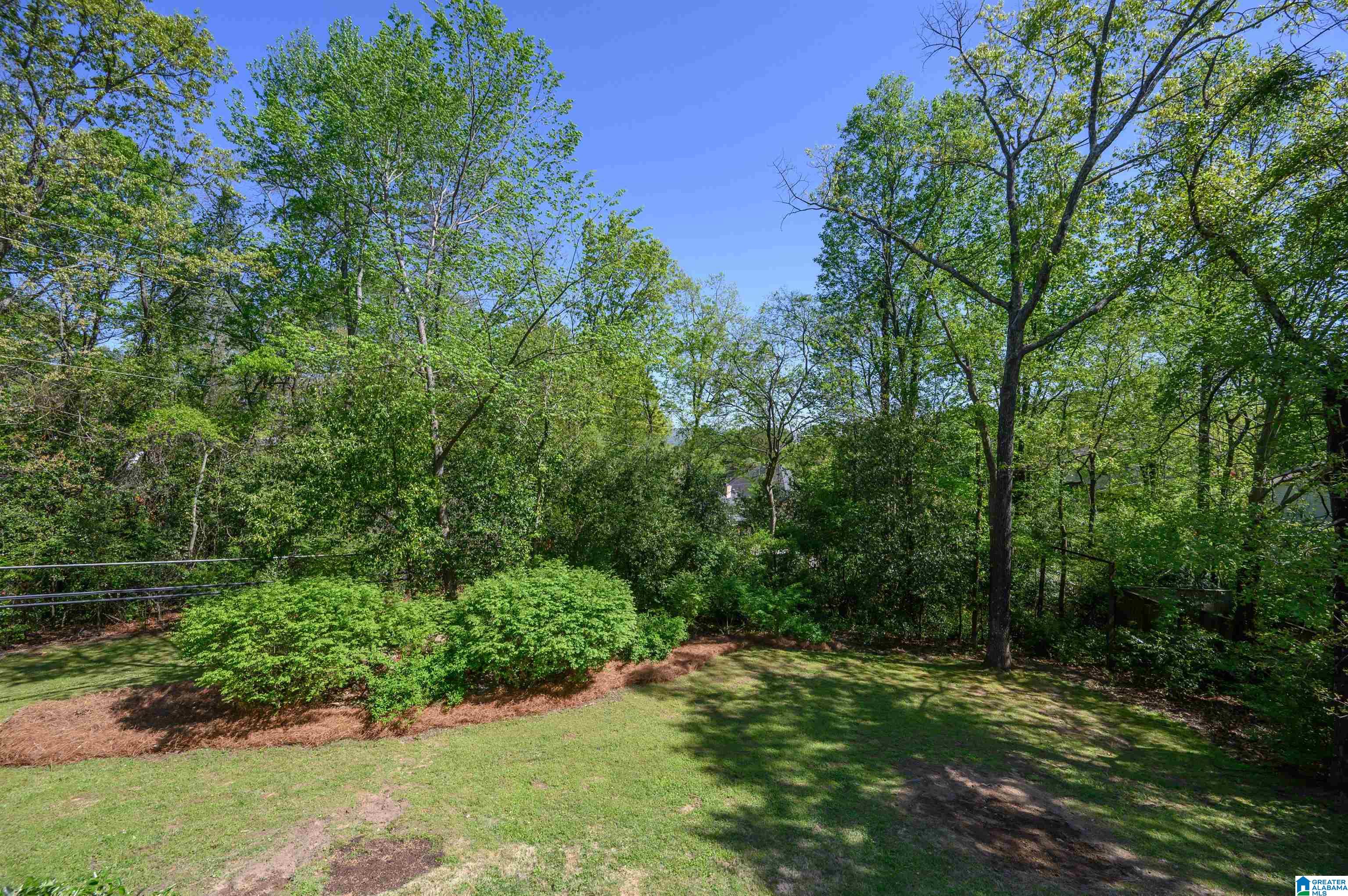 3517 Mill Springs Road Birmingham, AL 35223 - Photo 42 of 45