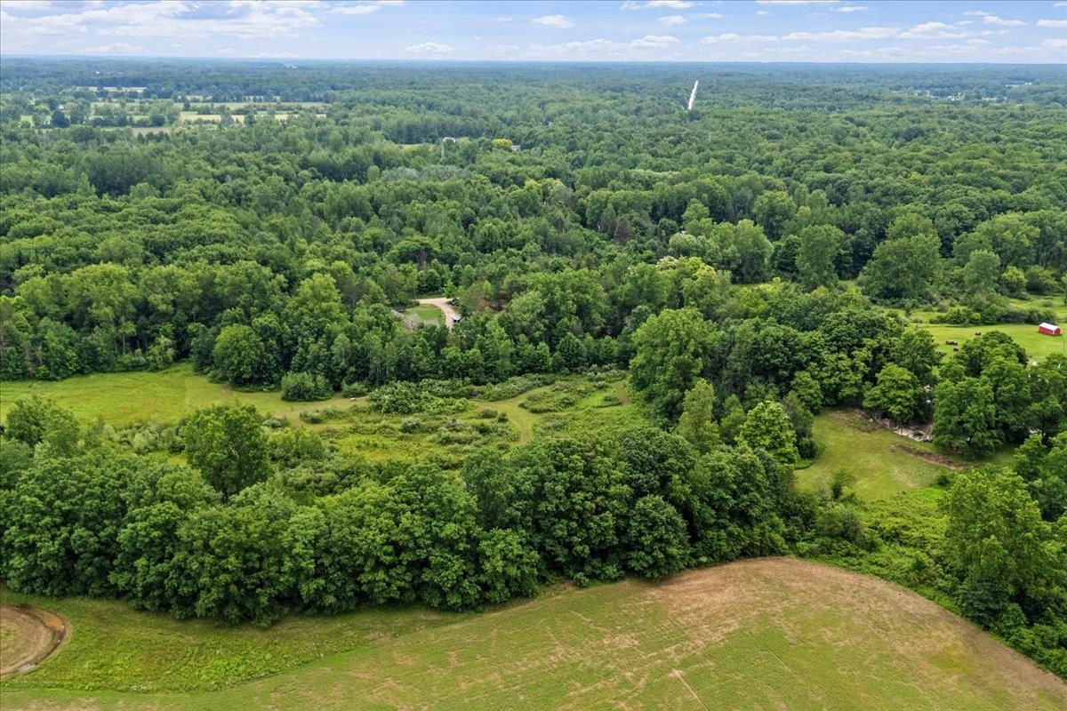 1187 Parks Road Goodells, MI 48027 - Photo 8 of 23