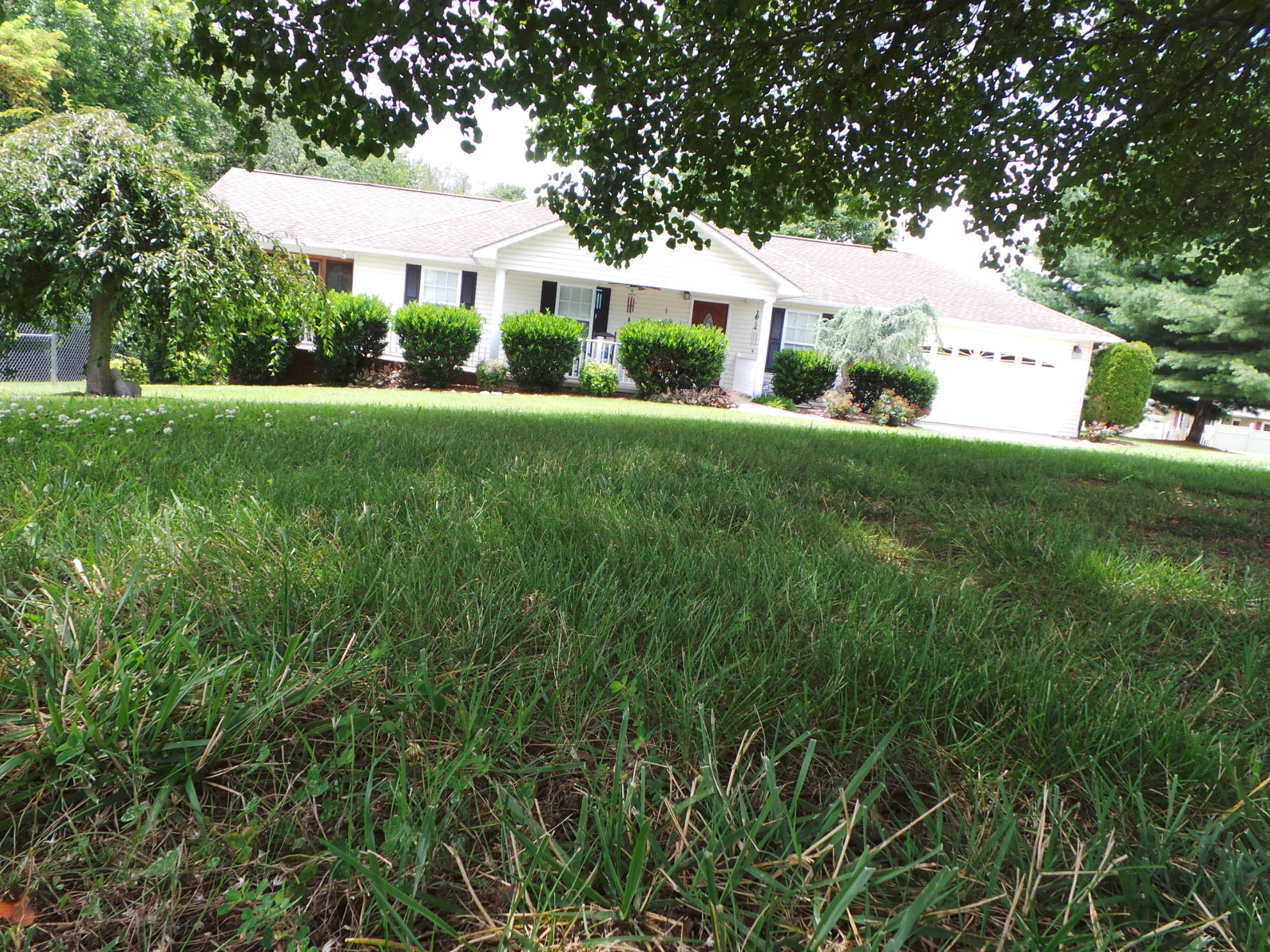 169 Laurel View Road Jonesborough, TN 37659 - Photo 147 of 159 FRONT YARD