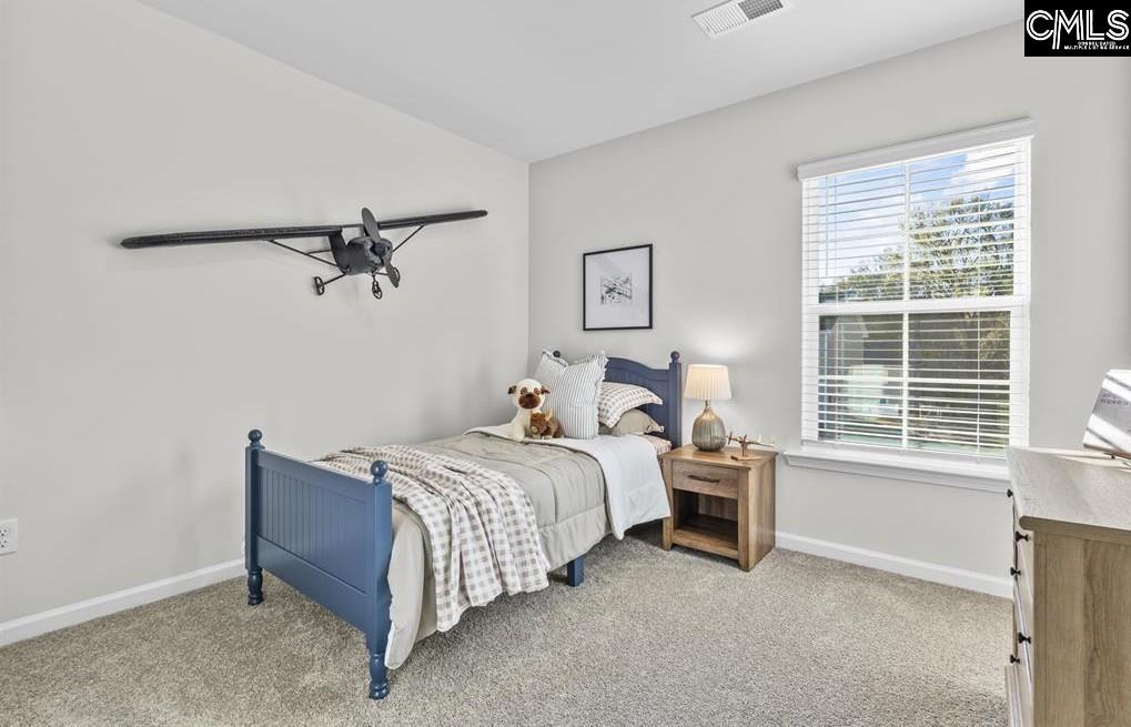 114 New Spring Way Columbia, SC 29223 - Photo 19 of 27 Gallery Image 19