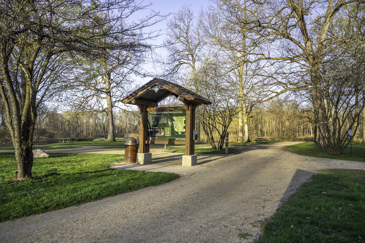 561 Yosemite Way Mundelein, IL 60060 - Photo 37 of 48 a view of a park with large trees