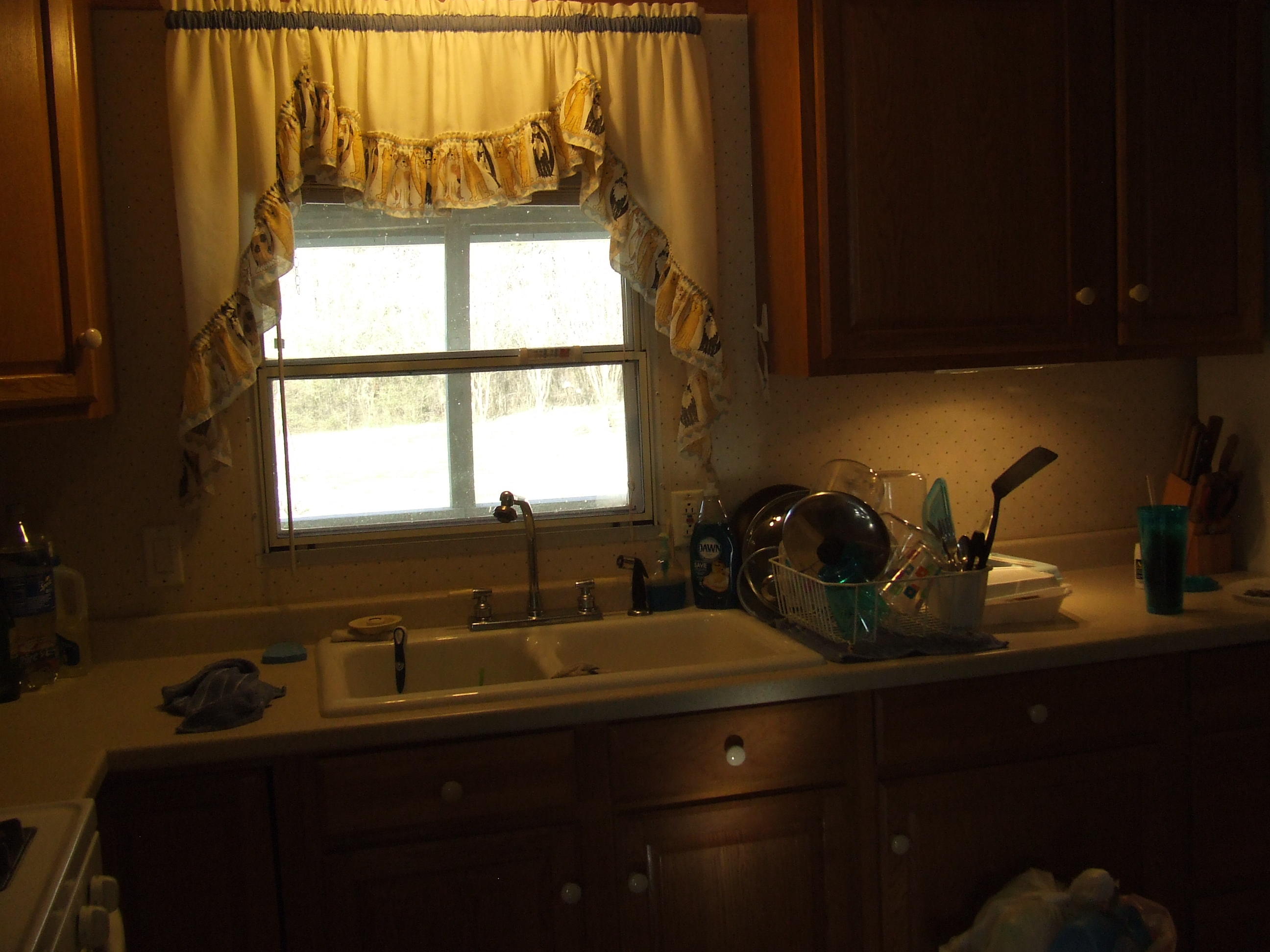 380 Creek Road Spring City, TN 37381 - Photo 5 of 15 DSCF6658