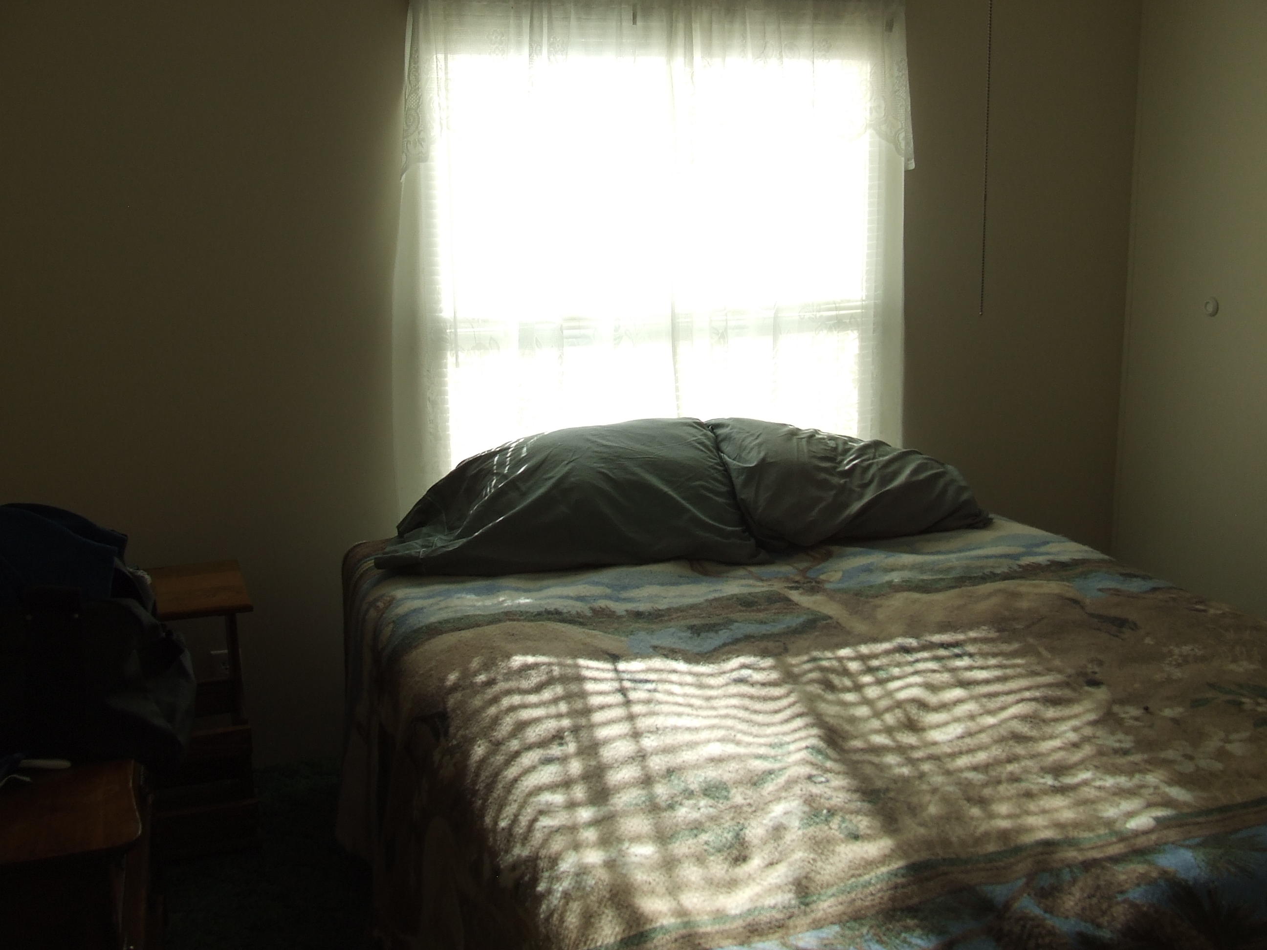 380 Creek Road Spring City, TN 37381 - Photo 6 of 15 DSCF6656