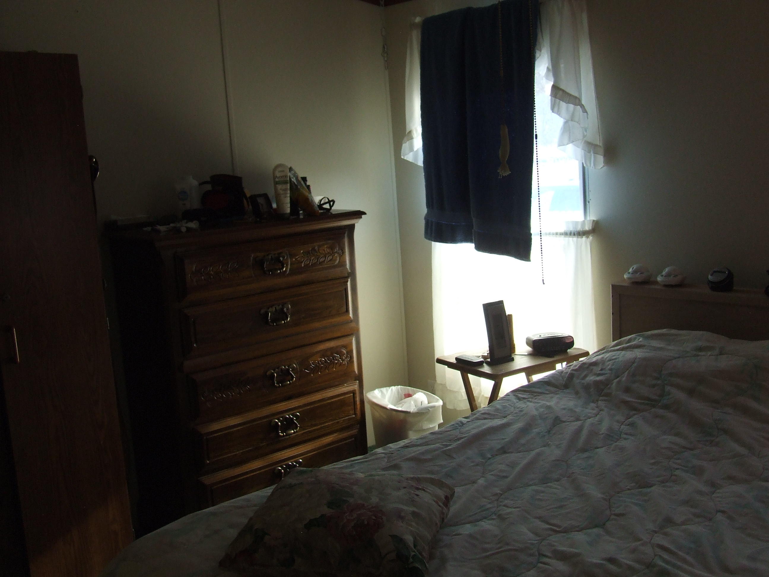 380 Creek Road Spring City, TN 37381 - Photo 10 of 15 DSCF6662