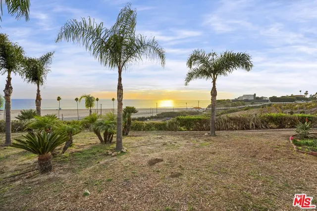 a view of beach and palm tree