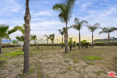 a view of beach and palm trees