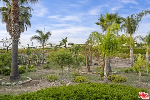 a view of a garden with a tree
