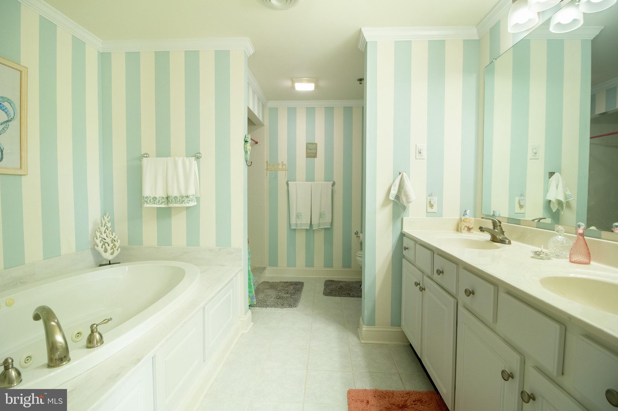 32377 Back Nine Way, Unit 3747 Long Neck, DE 19966 - Photo 27 of 41 a spacious bathroom with a tub sink shower and mirror
