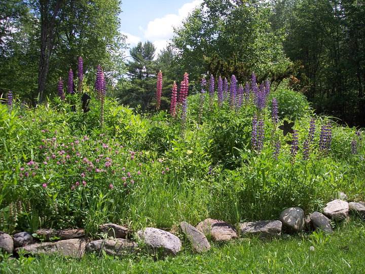 41 Martel Road Chichester, NH 03258 - Photo 4 of 37