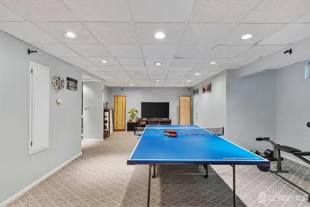 a view of a backyard with plants and a large tree