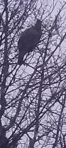 $169,900 | 29 Salmon Lake Road, Perham, ME 04766