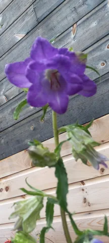 $169,900 | 29 Salmon Lake Road, Perham, ME 04766