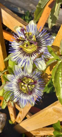 $169,900 | 29 Salmon Lake Road, Perham, ME 04766