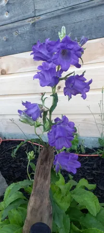 $169,900 | 29 Salmon Lake Road, Perham, ME 04766