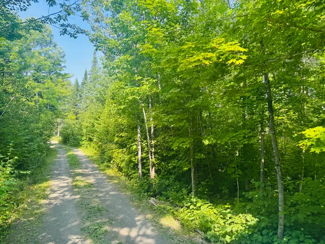 $169,900 | 29 Salmon Lake Road, Perham, ME 04766