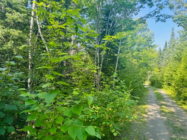 $169,900 | 29 Salmon Lake Road, Perham, ME 04766