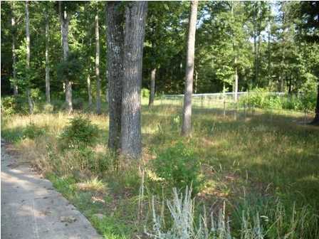 11622 Dolly Pond Road Birchwood, TN 37308 - Photo 4 of 8 Additional Photo