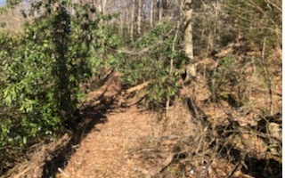 7.9-ac Scott Hollow Road Ellijay, GA 30540 - Photo 24 of 24 Additional View
