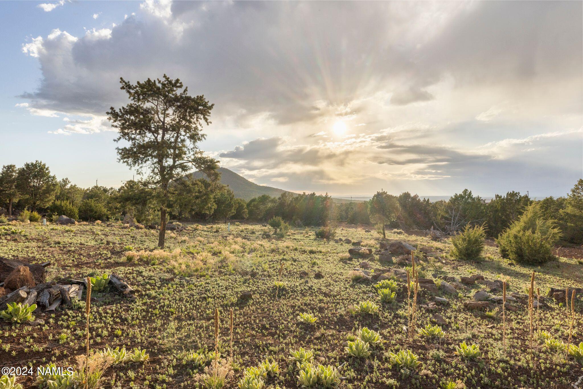 2561 East Fir Road Williams, AZ 86046 - Photo 54 of 56 2561 E Fir St Landscape