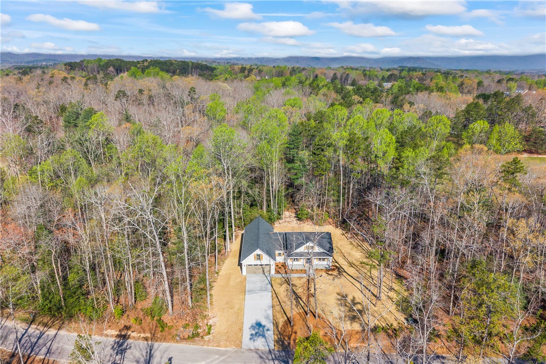 437 Falcons Lair W Drive Walhalla, SC 29691 - Photo 48 of 50 Lot