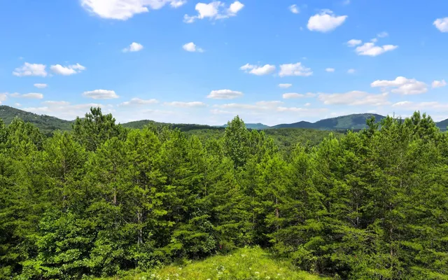 $49,900 | Lot 1 North View Drive, Mineral Bluff, GA 30559