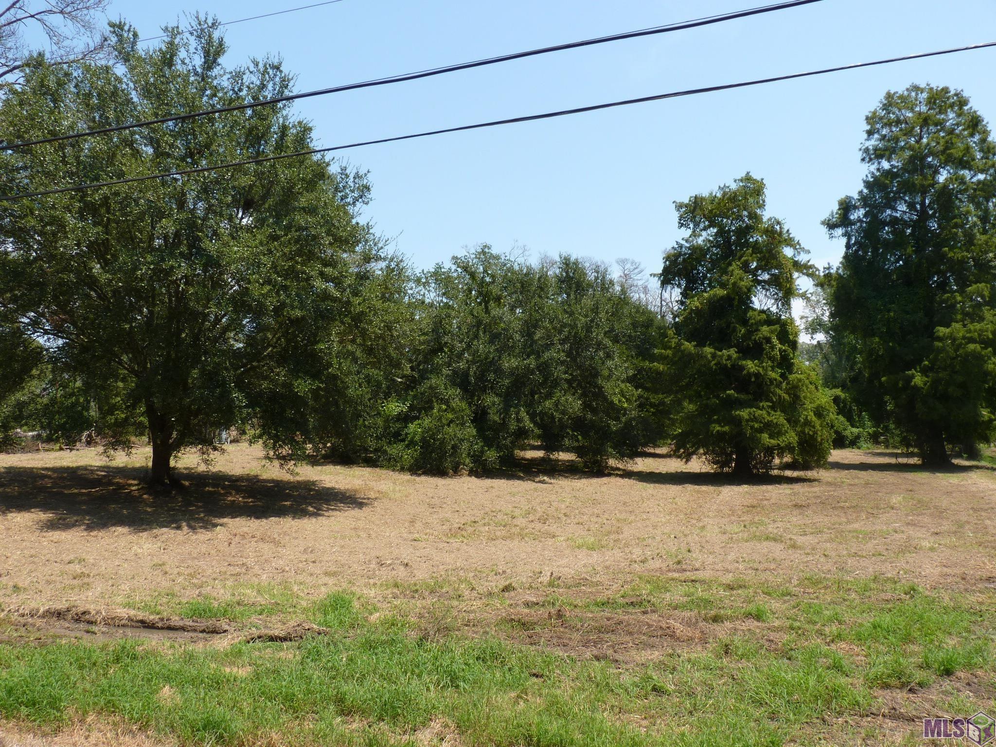 18372 Leo Causey Road Prairieville, LA 70769 - Photo 3 of 5 Gallery Image 3