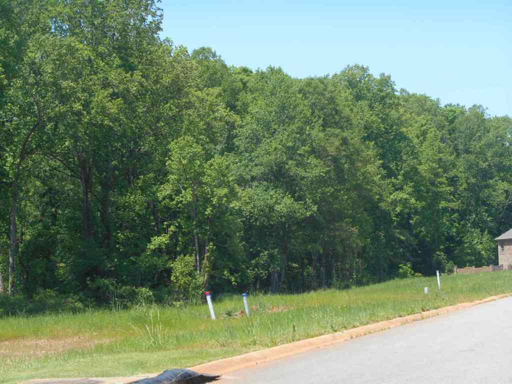 169 Buckland Drive Anderson, SC 29621 - Photo 34 of 35