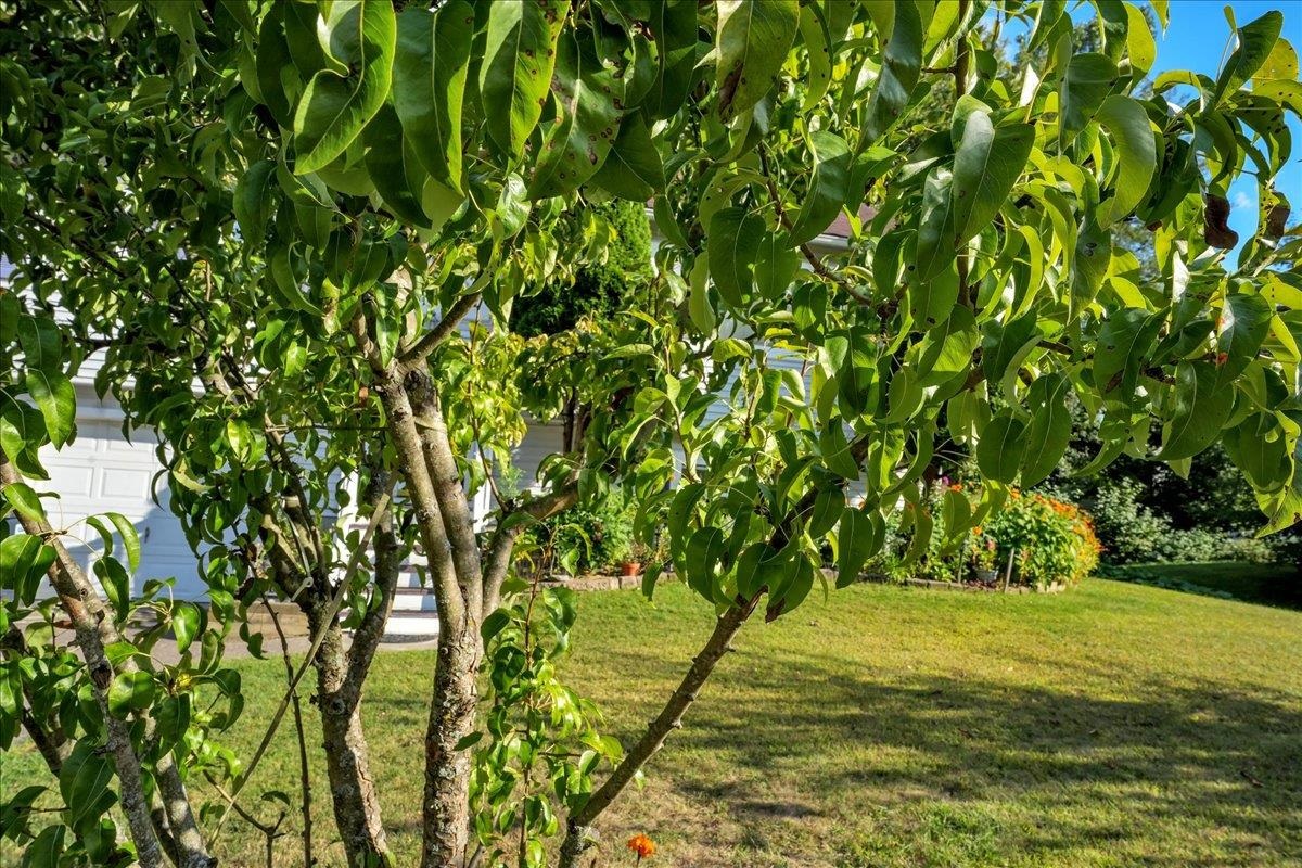 133 Birch Court Burlington, VT 05408 - Photo 40 of 40