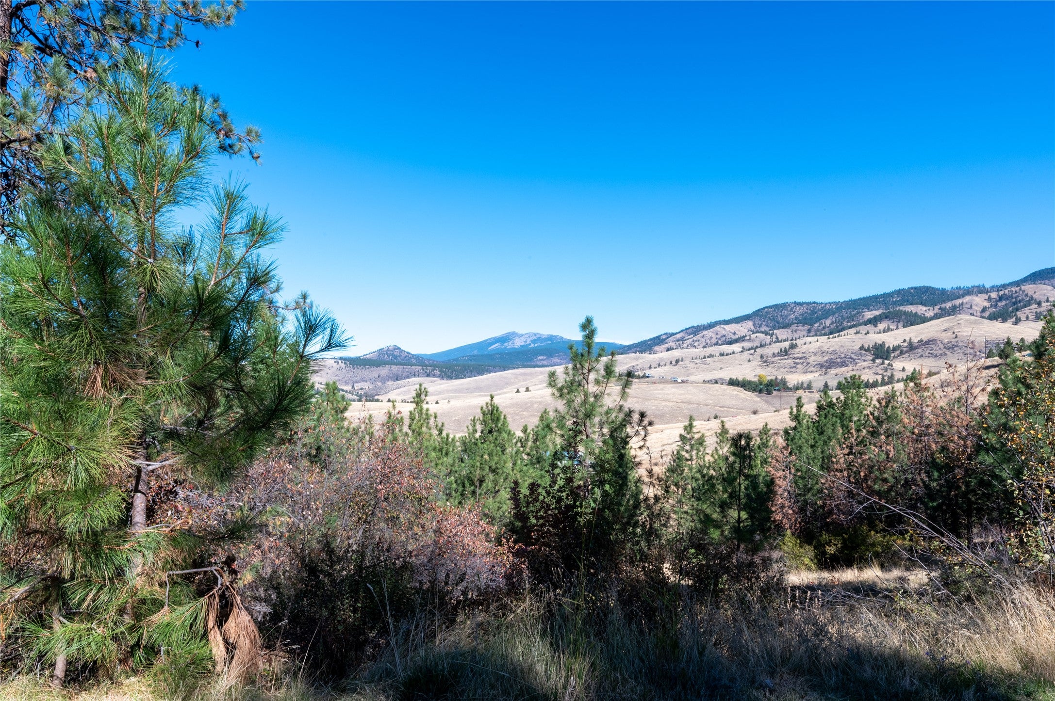 46 Deemer Ridge Road Plains, MT 59859 - Photo 56 of 58 Gallery Image 56