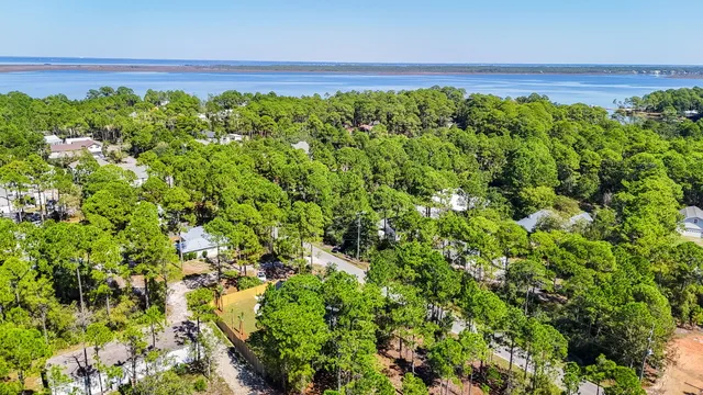 a view of a garden with a plant