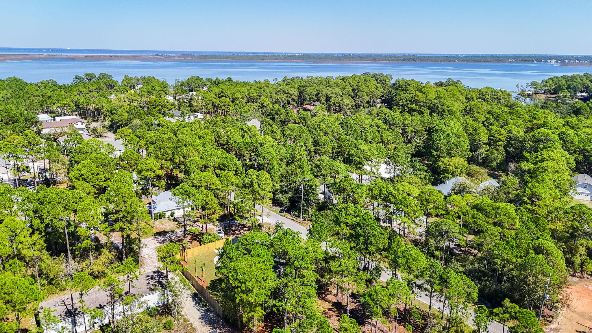 1045 Don Bishop Road Santa Rosa Beach, FL 32459 - Photo 35 of 37 a view of a garden with a plant