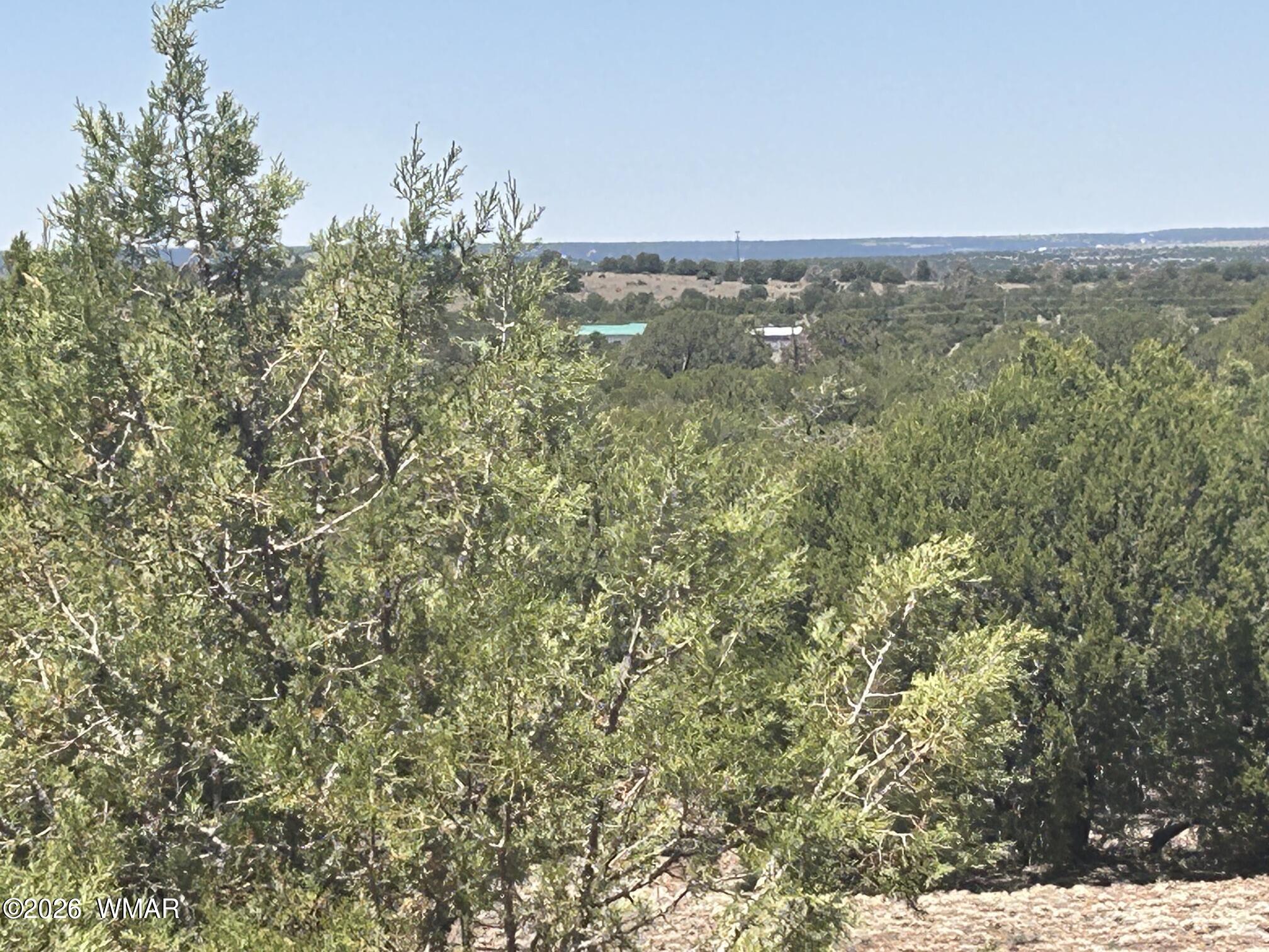Tbd Tbd Vernon, AZ 85940 - Photo 19 of 21