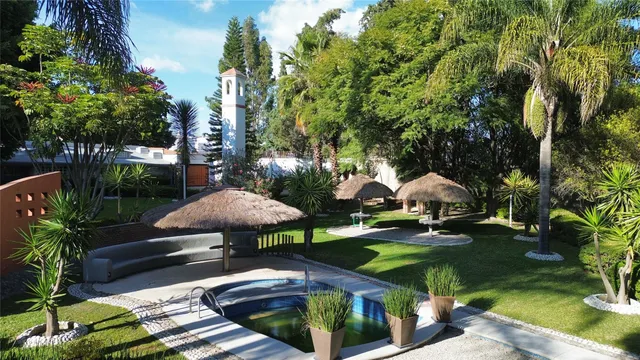 a view of a patio with table and chairs potted plants and large tree