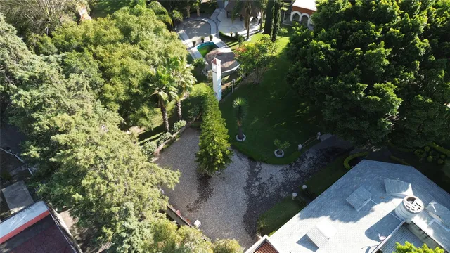 a close up of a flower in a garden