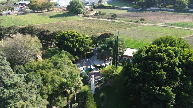 a view of a street with a yard and a fountain