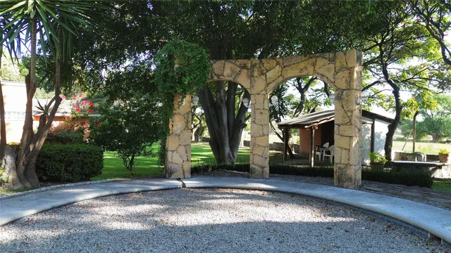 a view of road and trees around