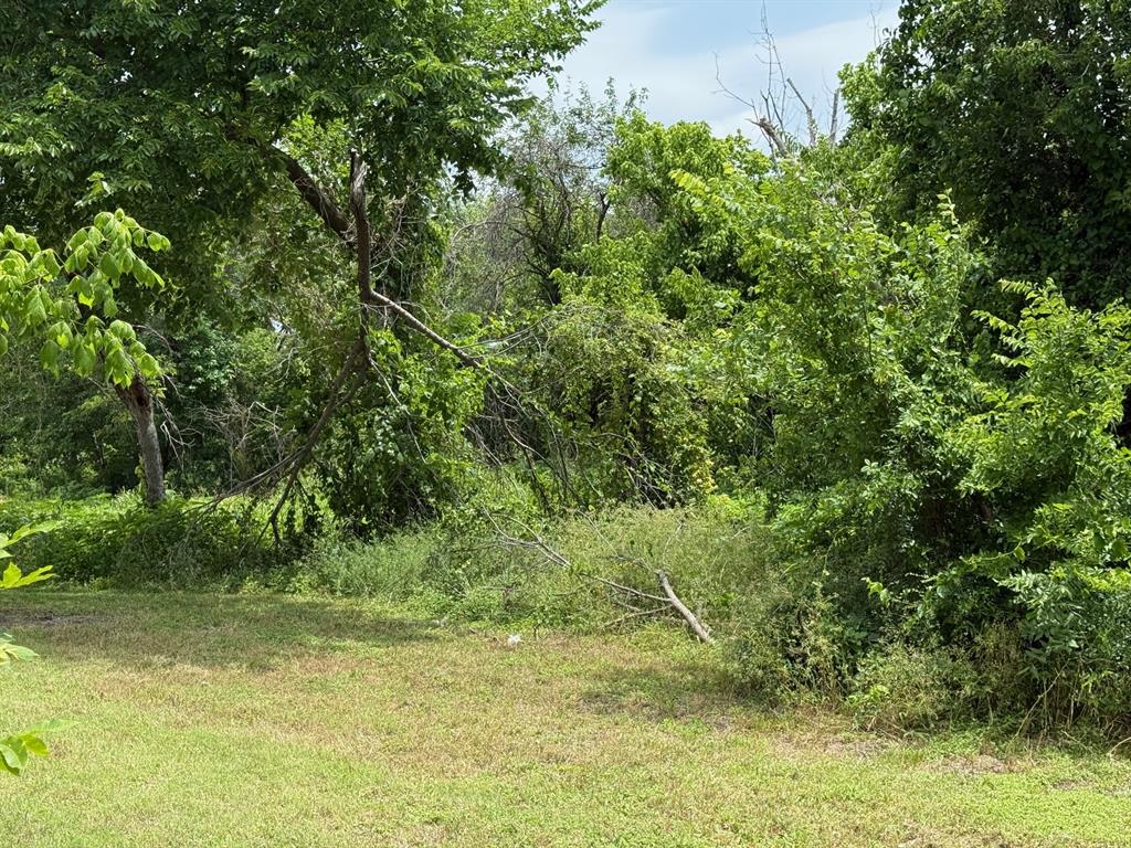 601 South Clark Street Rockwall, TX 75087 - Photo 5 of 5 a view of a yard