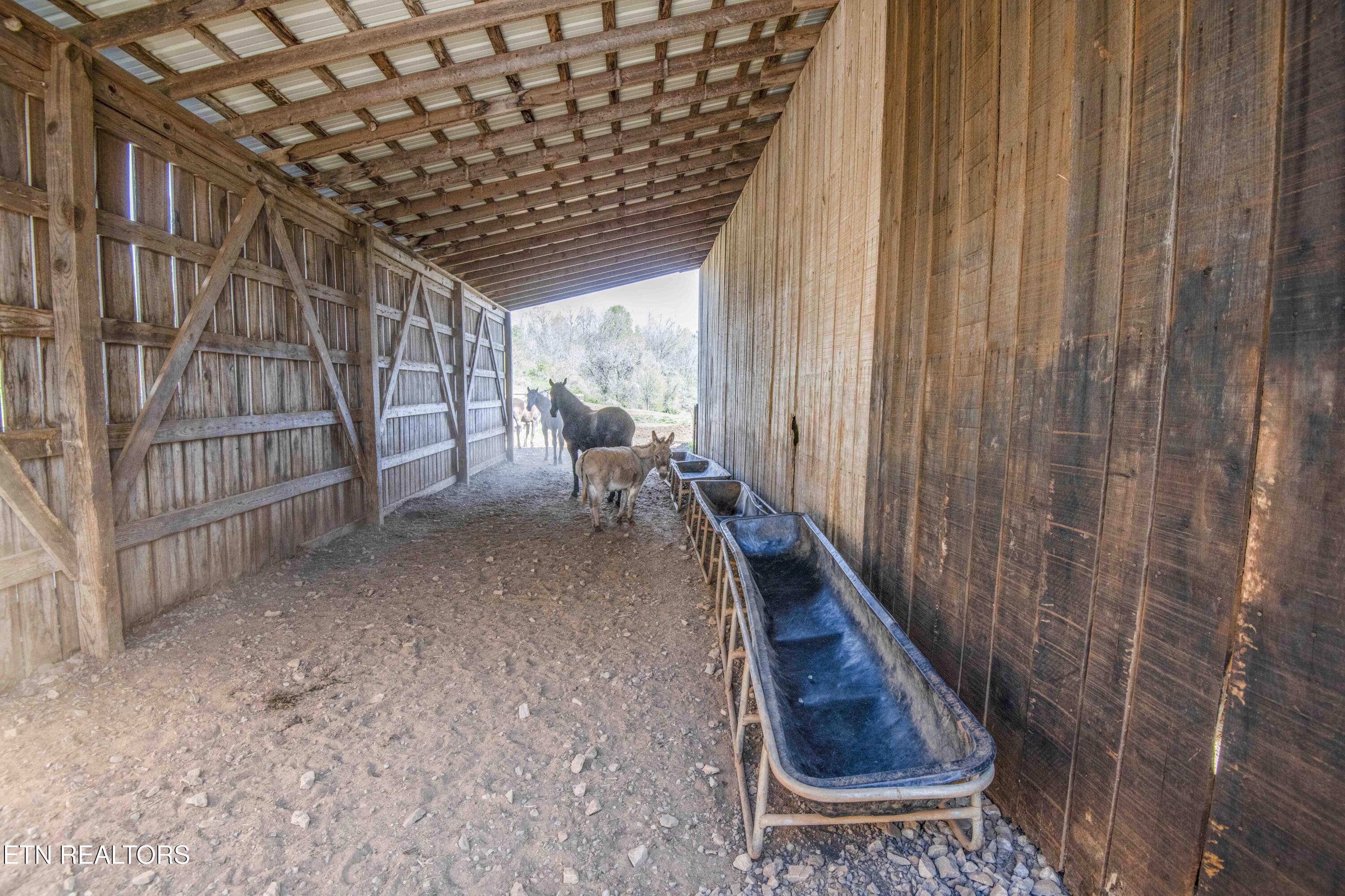 212 Meyers Grove Road New Tazewell, TN 37825 - Photo 32 of 59 barn_1