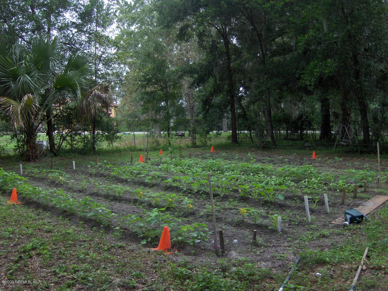 1540 Penman Road Neptune Beach, FL 32266 - Photo 3 of 9 Room for gardening