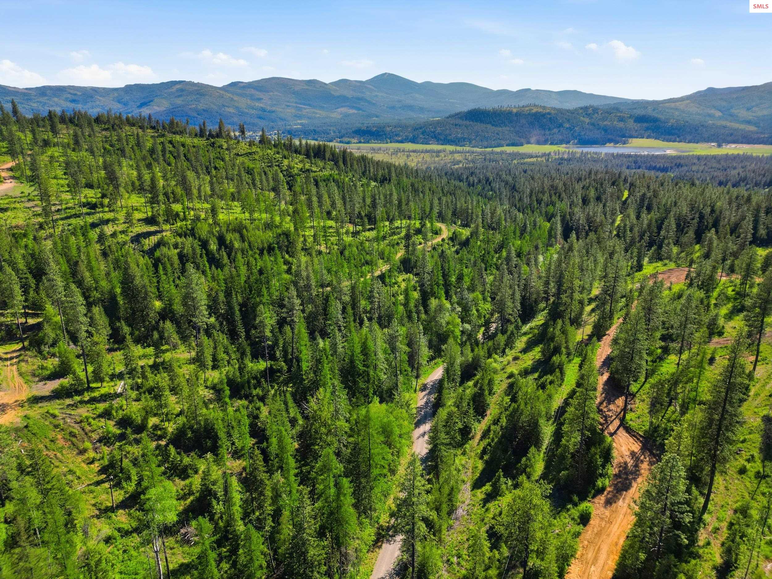 Nka Nka Stone Road Blanchard, ID 83804 - Photo 14 of 29 Gallery Image 14